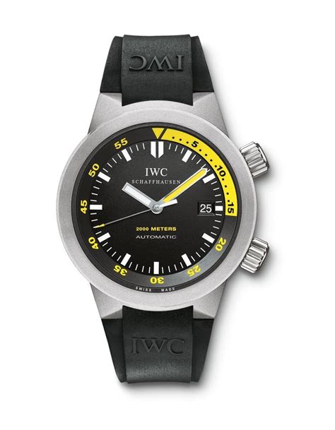 iwc aquatimer titanio 3538|IWC Aquatimer 2000 Titanium / Black / Bracelet • IW3538.